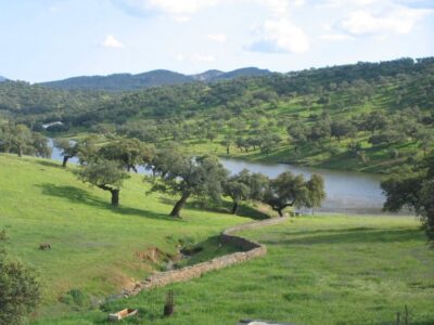 Full-Day Aracena & Rio Tinto Mines Tour
