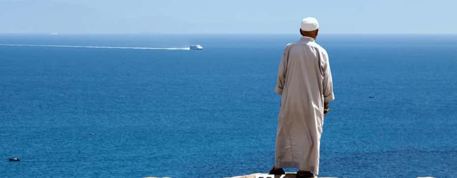 From Seville: Full-Day Tour to Tangier - The optional camel ride