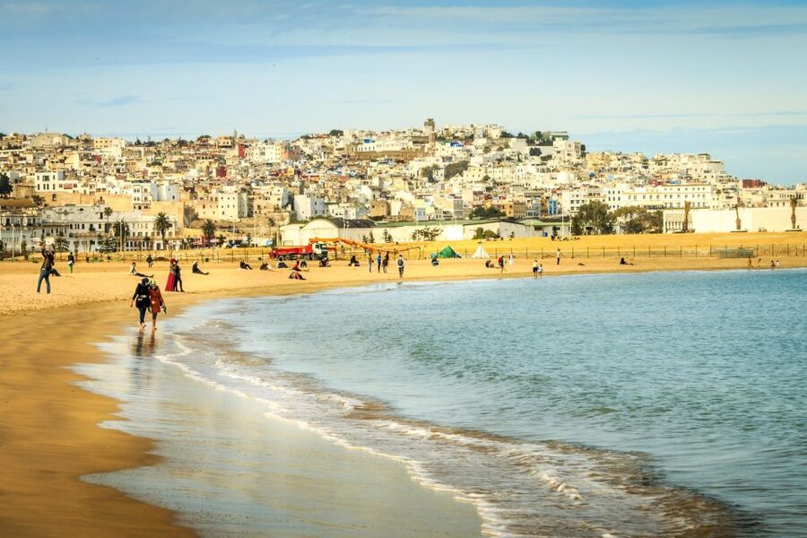 From Seville: Full-Day Tour to Tangier - Guides, languages, and group communication