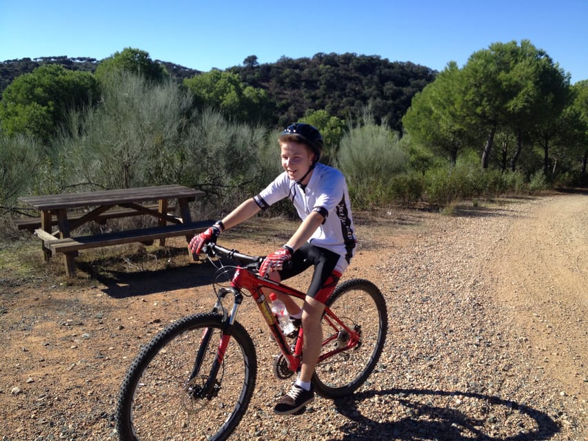 From Seville: Half-Day Guided Bike Trip to Italica - Is $53 good value?