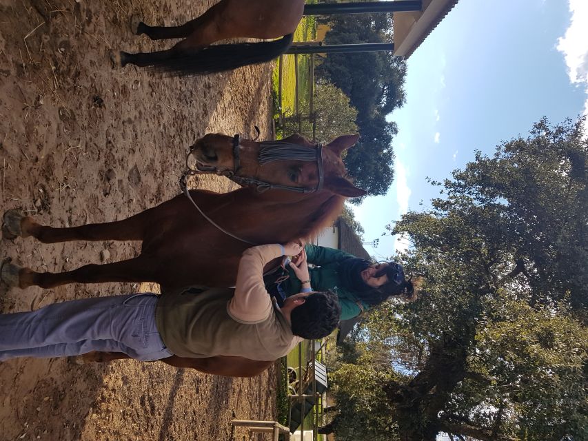 From Seville: Horseback Riding Experience in Aljarafe - Meeting the Andalusian horses