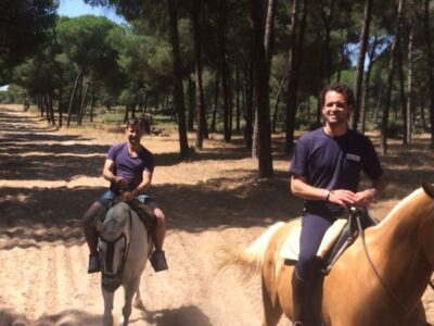 Horseback Riding Experience in Aljarafe