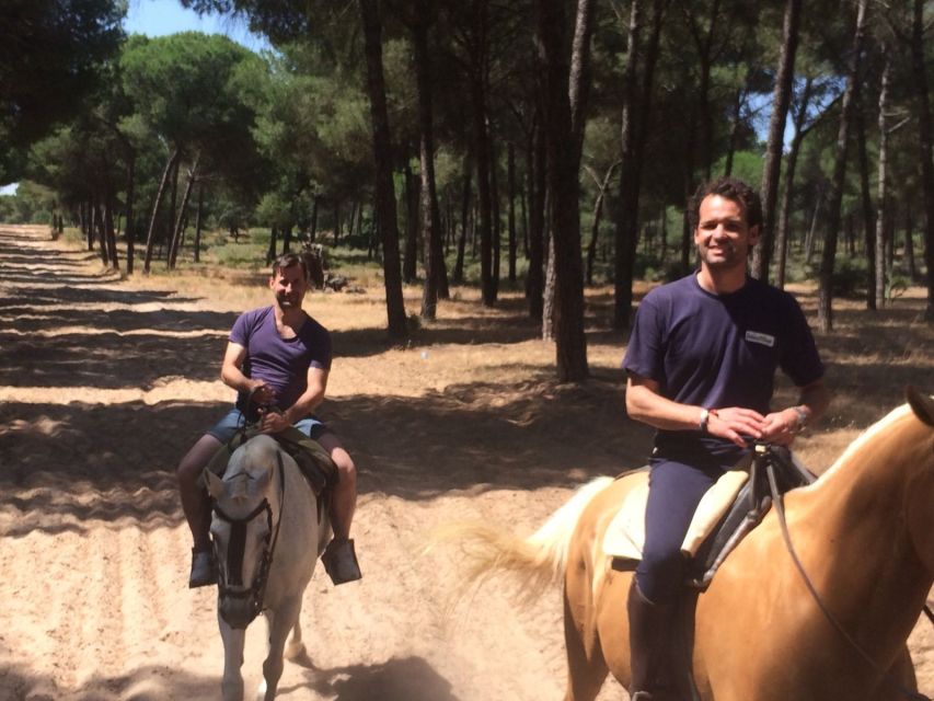 From Seville: Horseback Riding Experience in Aljarafe - The 1.5-hour ride through Mediterranean countryside