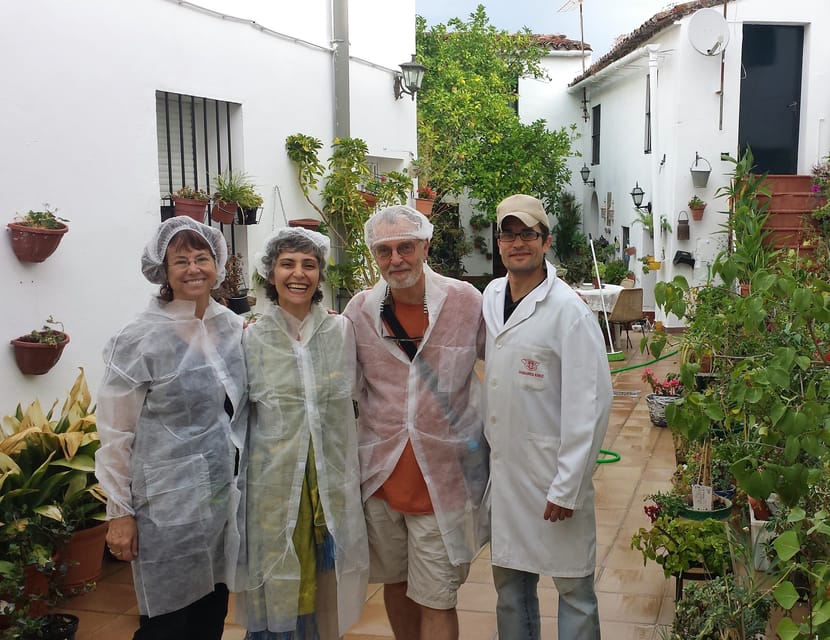From Seville: Iberian Ham Full-Day Tour to Aracena - Who should book this day trip