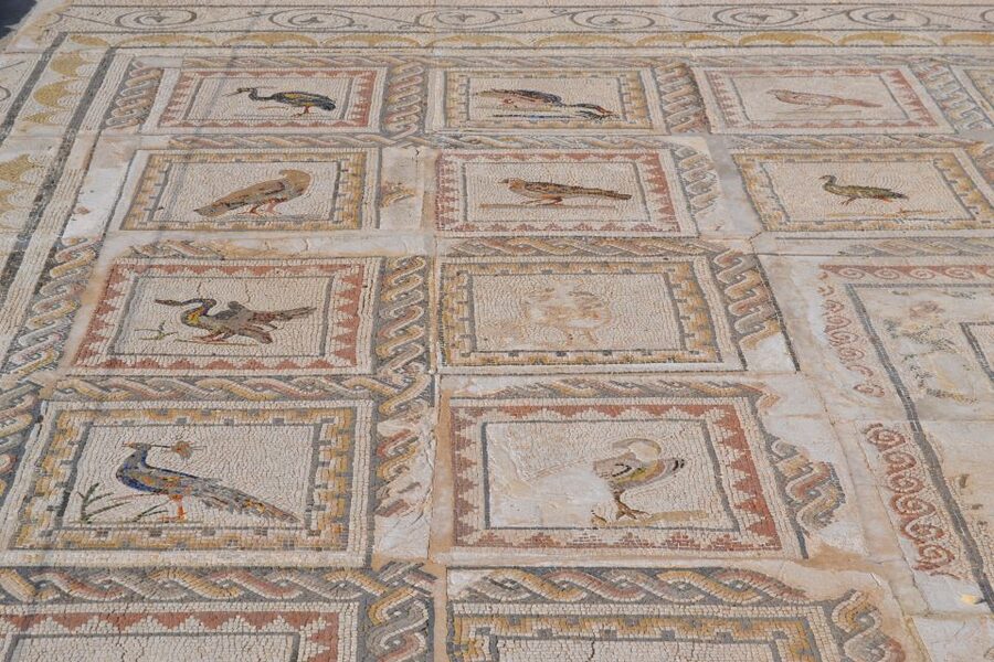 From Seville: Italica Roman City Tour - How much time do you really get?