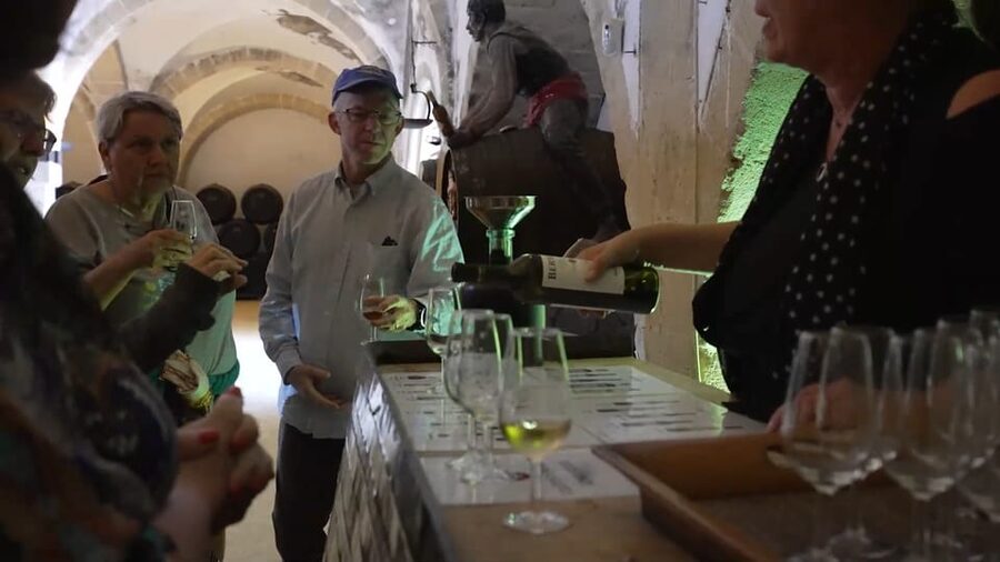 From Seville: Jerez, Cádiz and Andalusian Horses - Key points to know before booking