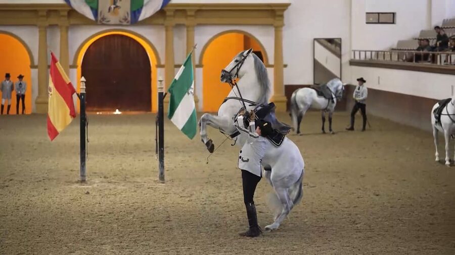 From Seville: Jerez, Cádiz and Andalusian Horses - Why Jerez makes a strong first stop