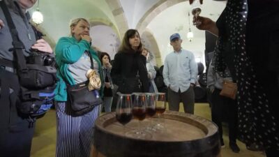 Jerez, Cádiz and Andalusian Horses