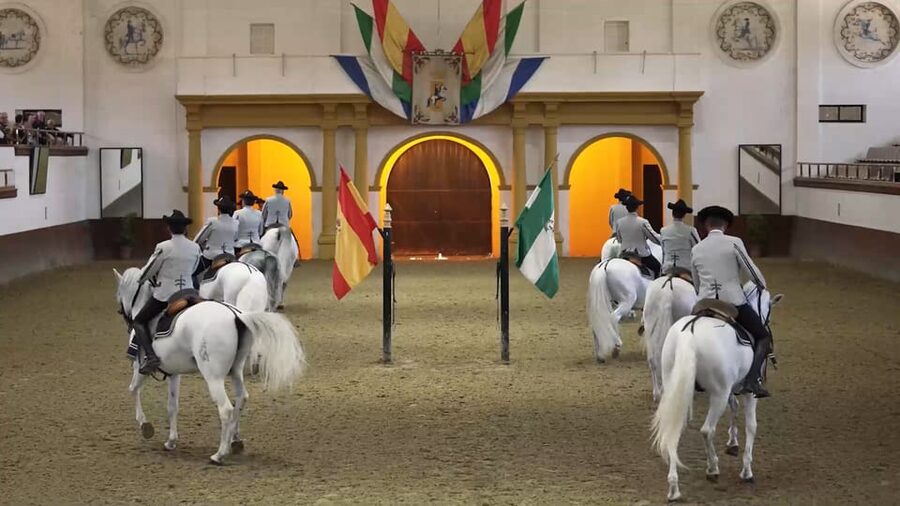 From Seville: Jerez, Cádiz and Andalusian Horses - Cádiz, with a short walk and open time