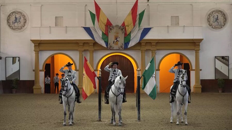 From Seville: Jerez, Cádiz and Andalusian Horses - Who should book this day trip?