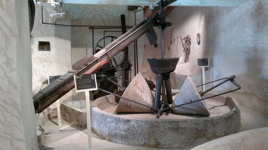 From Seville: Olive Oil Farm Tour - From Seville to the olive groves