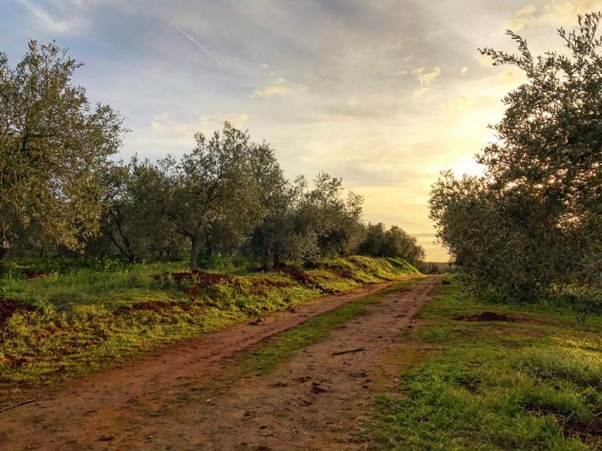 From Seville: Olive Oil Farm Tour - The people make the visit