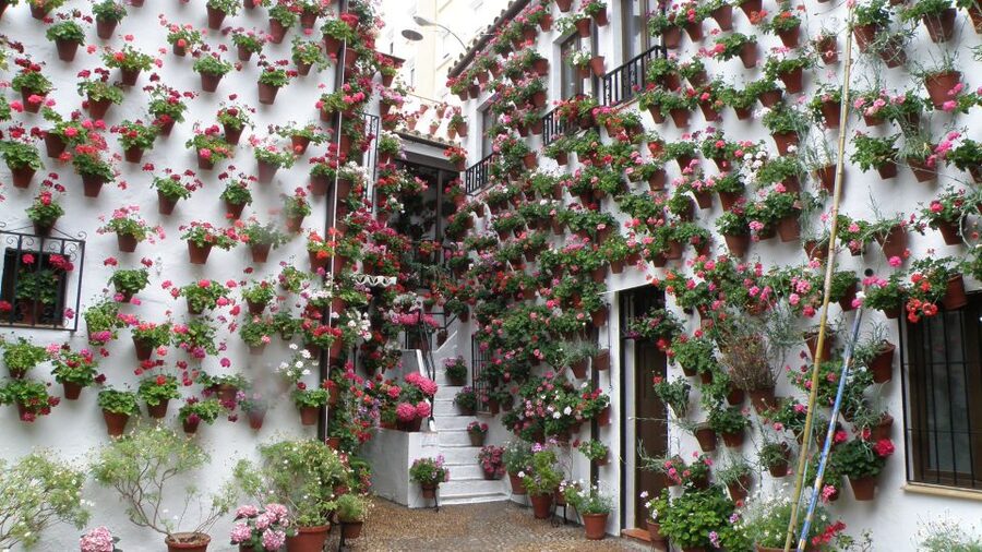 From Seville: Private or Group Full-Day Cordoba Tour - Key points to know before booking