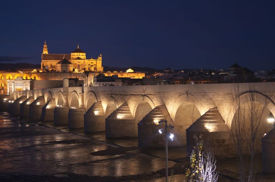 From Seville: Private or Group Full-Day Cordoba Tour - From Seville to Córdoba in one day