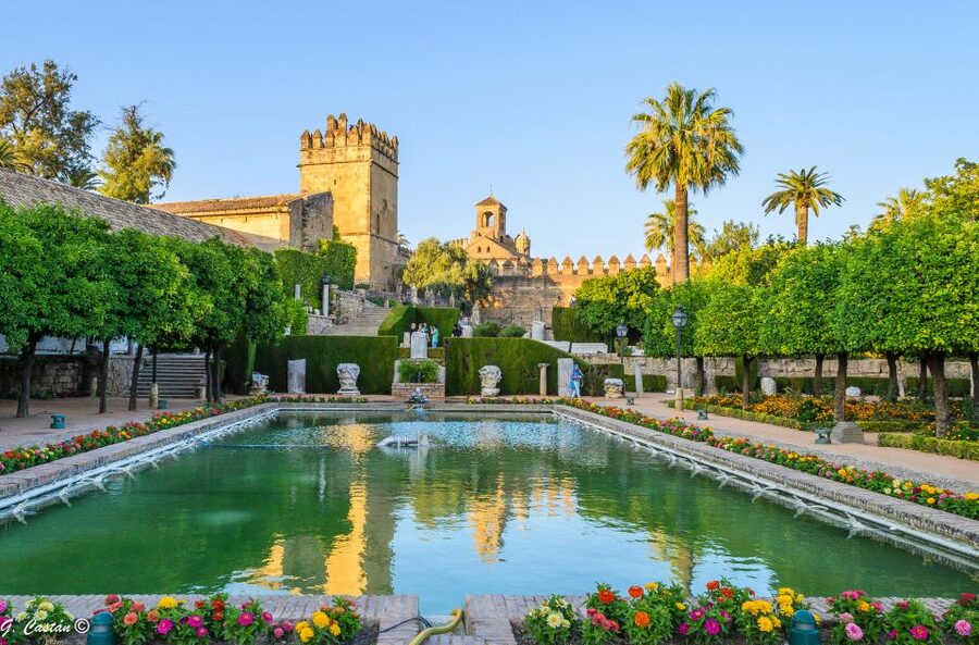 From Seville: Private or Group Full-Day Cordoba Tour - Shared or private: which version fits?