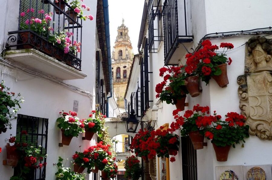 From Seville: Private Transfer to Granada and Córdoba Tour - Leaving Seville with your bags in the car