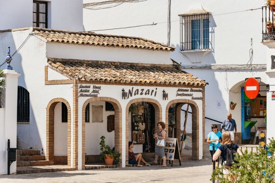 From Seville: Pueblos Blancos and Ronda Full-Day Trip - Who should book this tour