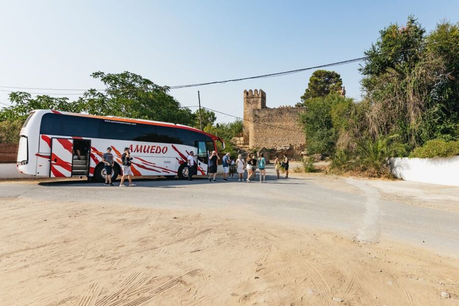 From Seville: Pueblos Blancos and Ronda Full-Day Trip - Grazalema, lunch, and the natural park