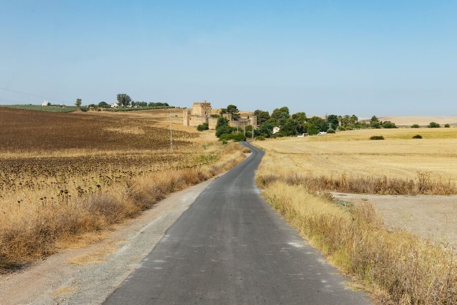 From Seville: Pueblos Blancos and Ronda Full-Day Trip - The drive through Mediterranean woodland