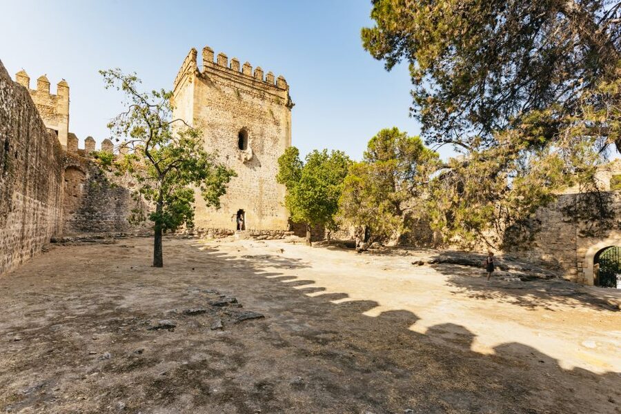From Seville: Pueblos Blancos and Ronda Full-Day Trip - Guides, group pace, and comfort