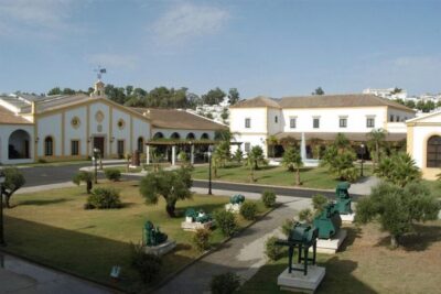 Tour of Jerez with Horse Show & Wine Tasting