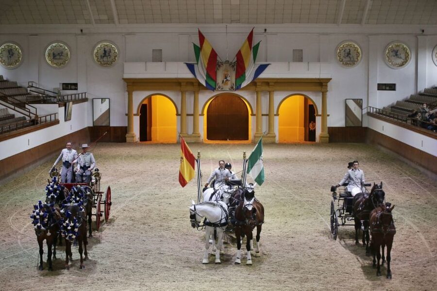 From Seville: Tour of Jerez with Horse Show & Wine Tasting - Watching How the Horses Dance
