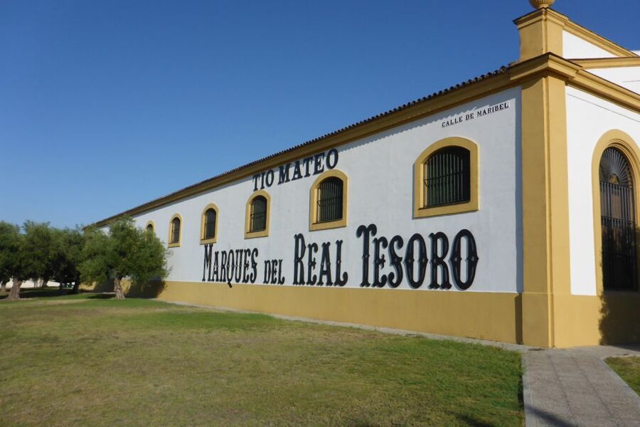 From Seville: Tour of Jerez with Horse Show & Wine Tasting - Is $147 a fair price?
