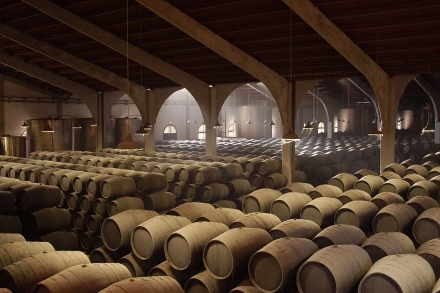 From Seville: Tour of Jerez with Horse Show & Wine Tasting - Timing, cancellation, and other practical details