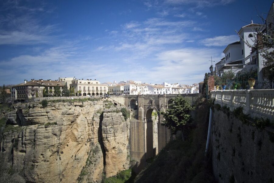 From Seville: White Villages and Ronda Full-Day Trip - The olive mill and what to expect from the tasting