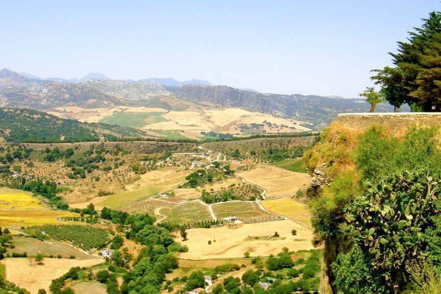 From Seville: White Villages and Ronda Tour - Ronda and the Tajo gorge