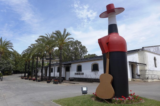 From Seville: Wine Tourism Half Day Tour - What the wine tasting adds