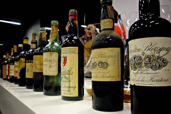 From Seville: Wine Tourism Half Day Tour - Who will enjoy this tour most