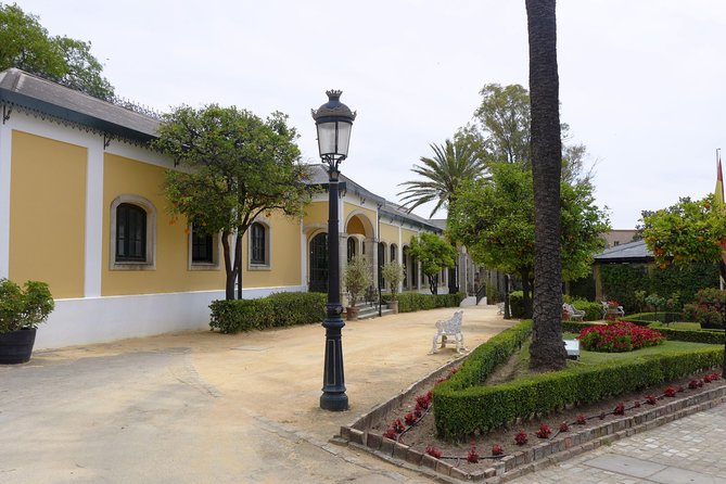 From Seville: Wine Tourism Half Day Tour - Useful booking details for your Seville plans