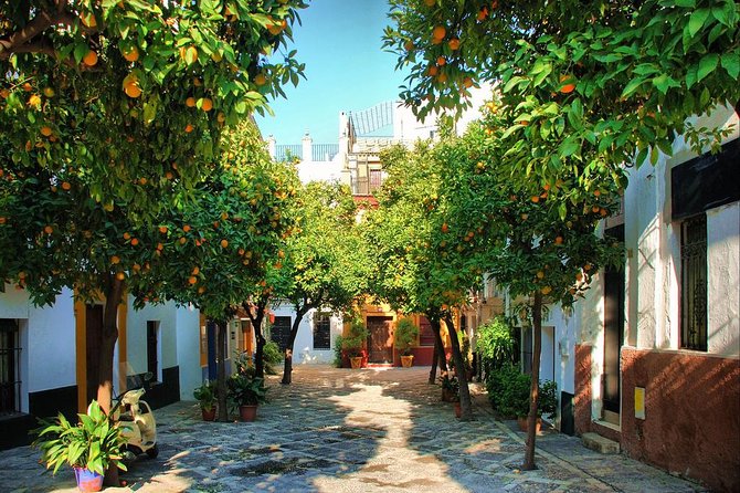Full Day Seville Tour with tickets (optional Tapas & Flamenco) - Seville Cathedral and Columbus’s tomb