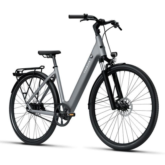 GERMAN SPEAKING E-BIKE TOUR (MOTHER TONGUE) | SEVILLE - Reaching Isla La Cartuja
