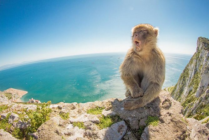 Gibraltar Day Trip from Seville - Key points to know before booking