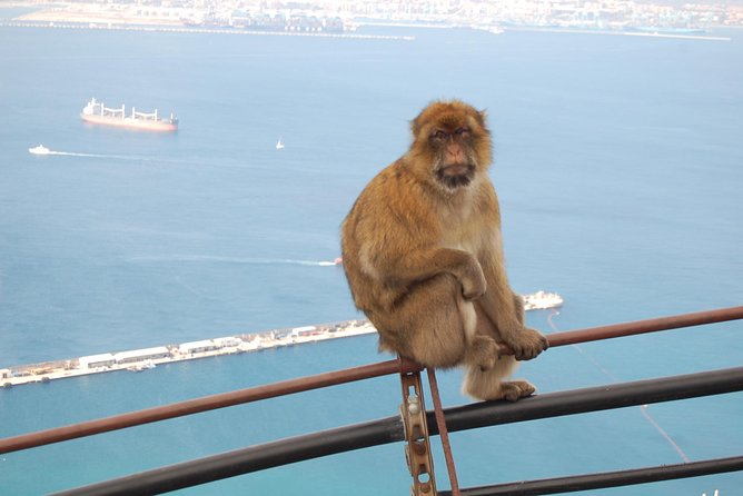 Gibraltar Day Trip from Seville - What the small group changes