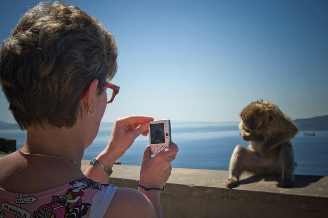 Gibraltar with Rock of Gibraltar & St. Michael Cave from Seville - Free time in Gibraltar town