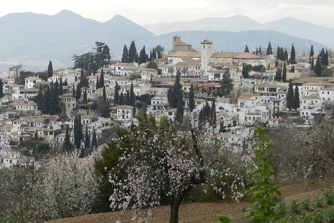 Granada Day Trip: Alhambra & Nazaries Palaces from Seville - Group size and the audio system