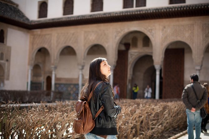Granada Day Trip with Alhambra and Albaicin Tour from Seville - The Nasrid Palaces and the Court of Lions
