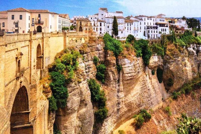 Granada Private Transfer to Seville with a Visit to Ronda - Choosing a driver or adding a guide
