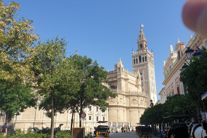 Guided Tour Sevilla Cathedral - Price and the question of value