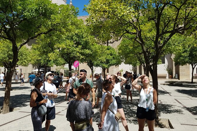 Guided Tour Sevilla Cathedral - How the tour handles crowds