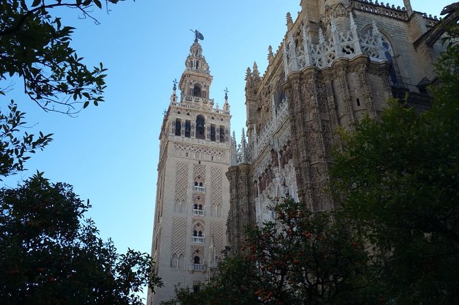 Guided Tour Sevilla Cathedral - The mosque remains and the Giralda connection