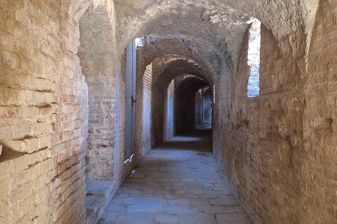 Guided Tour to Italica, City of Emperors - Roman houses and mosaics: the heart of the visit