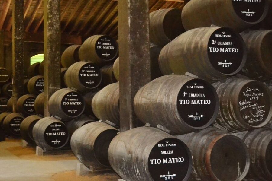 Half-Day Wine Tour in Andalusia in small group - Leaving Seville for a Traditional Bodega