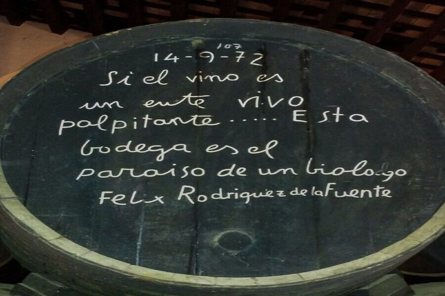 Half-Day Wine Tour in Andalusia in small group - The Tasting: More Than a Quick Sip