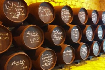 Half-Day Wine Tour in Andalusia in small group