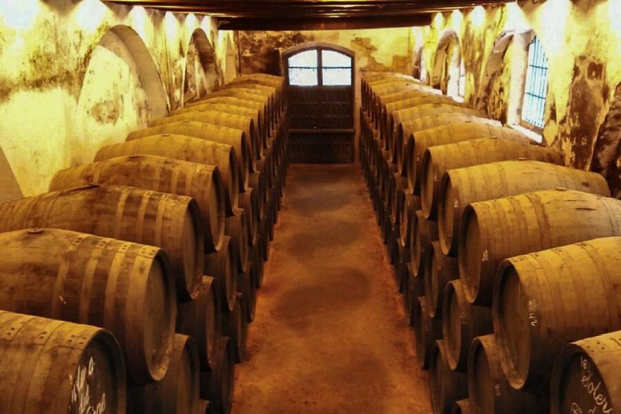 Half-Day Wine Tour in Andalusia in small group - Shared Tour or Private Group