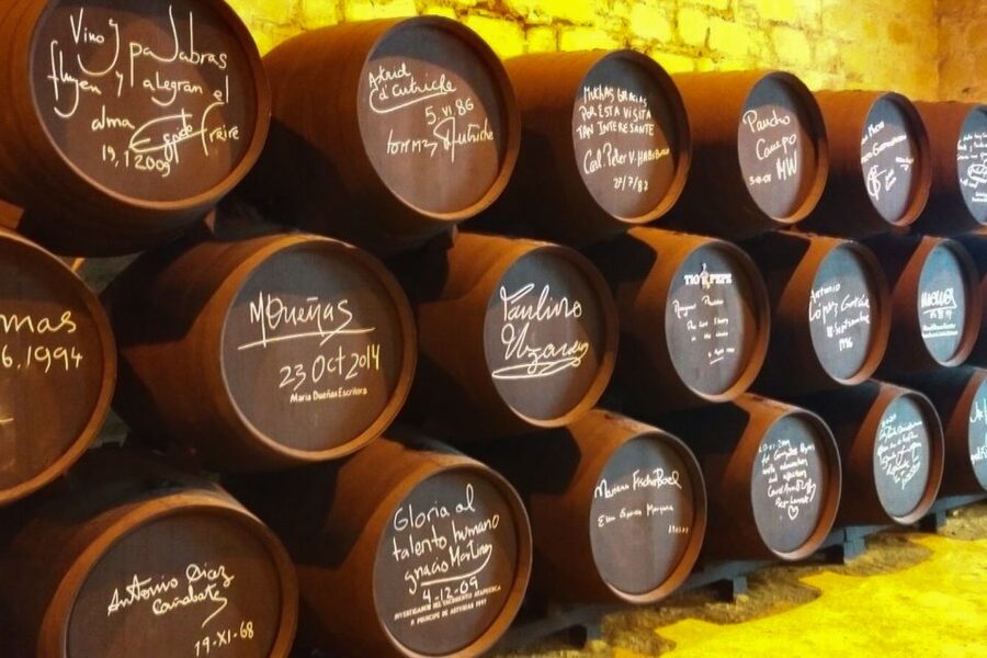 Half-Day Wine Tour in Andalusia in small group - Two Hours at Bodegas Andrade